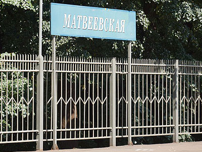 На платформе «Матвеевская» поезд насмерть <strong class="search_match">сбил</strong> девушку