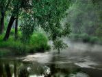 Экологический квест пройдет в Долине реки Сетунь