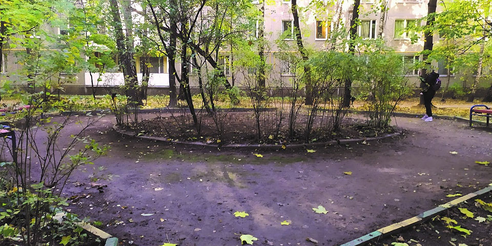 Фото двора в районе Очаково-Матвеевское
