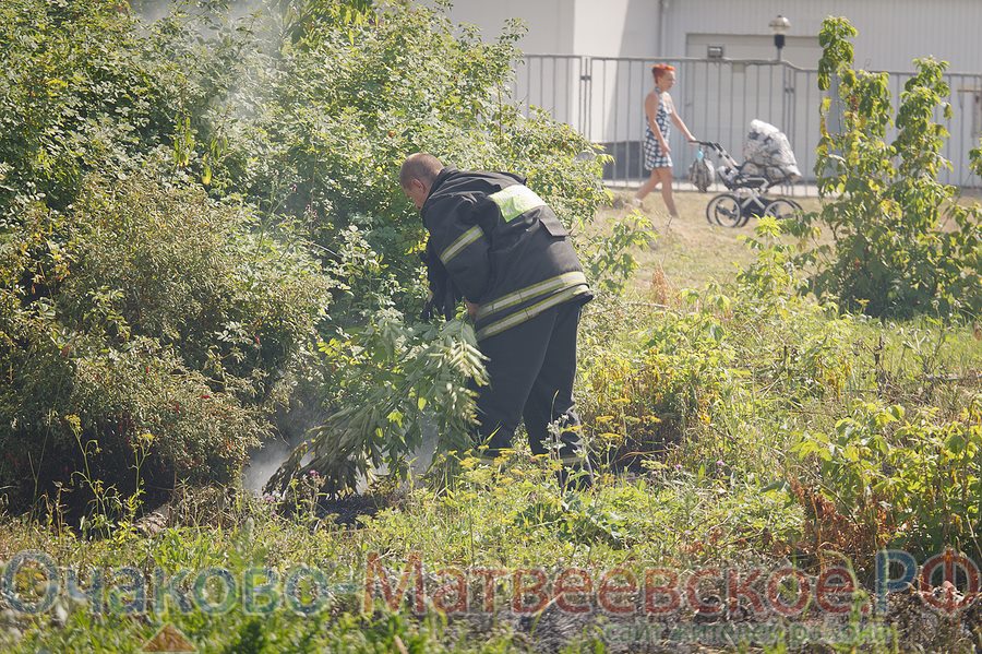 Возгорание травы за собачьей площадкой в районе Очаково-Матвеевское